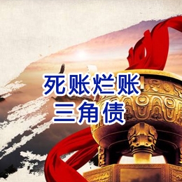 沙湖原种场要债公司