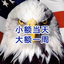 沙湖原种场要账公司